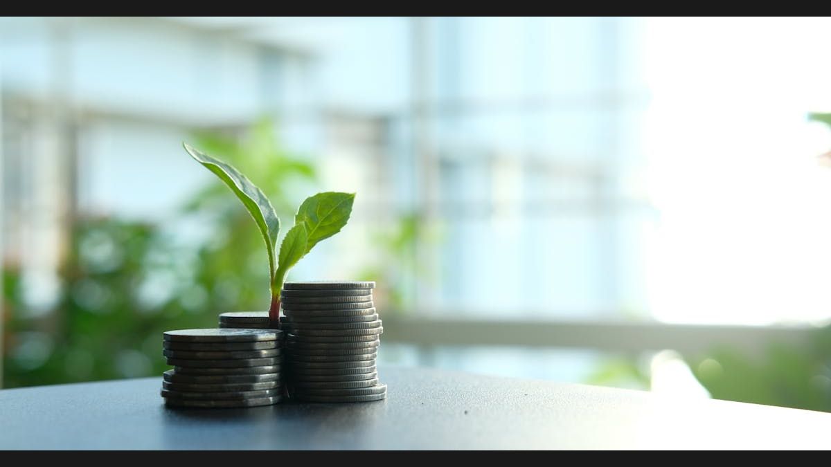 Contrarian Investing: How to Profit by Going Against the Crowd