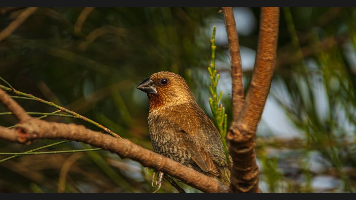 How to Build a Stock Watchlist That Works