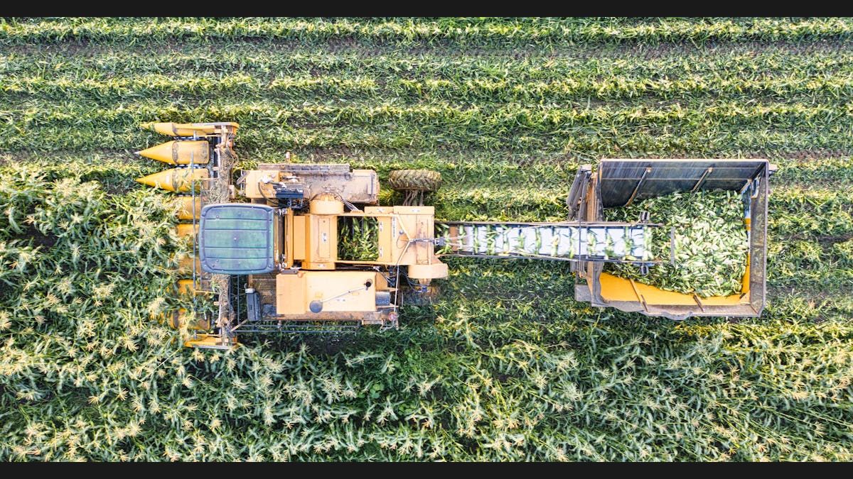 Roth IRA vs Traditional IRA: Which Is Better for You?